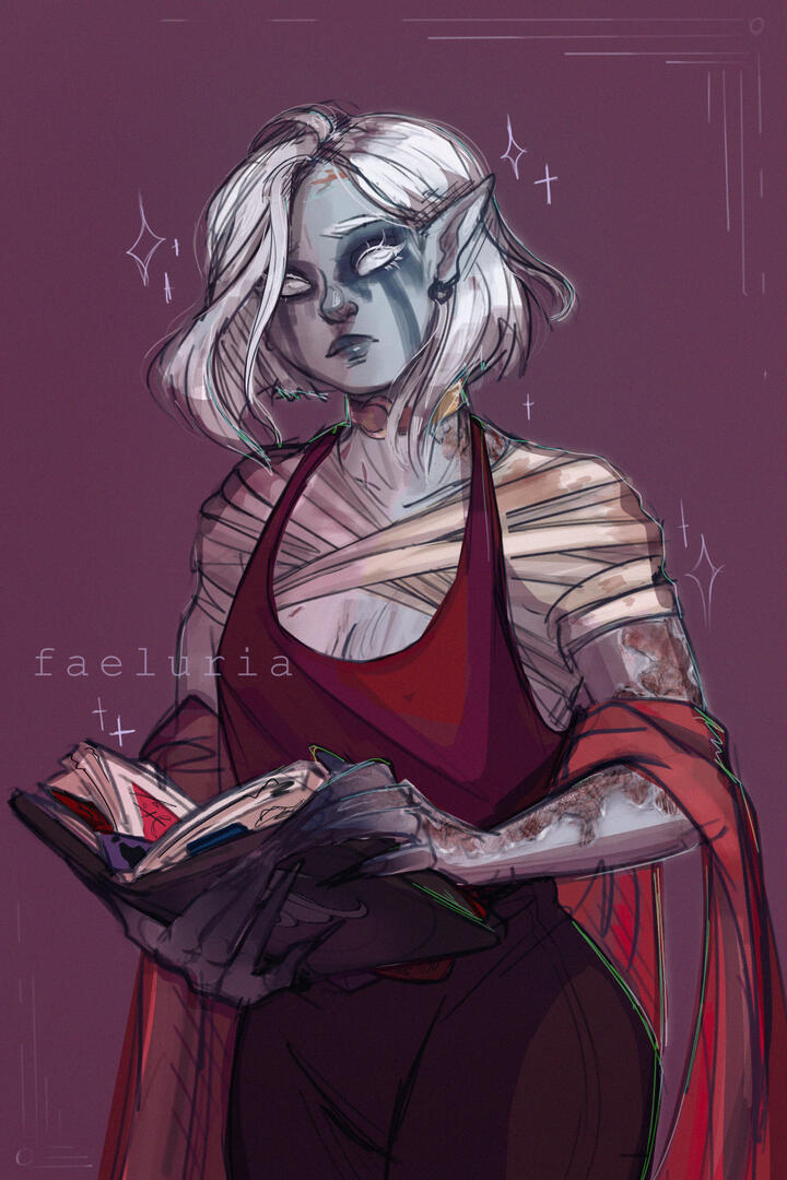 Viis Book